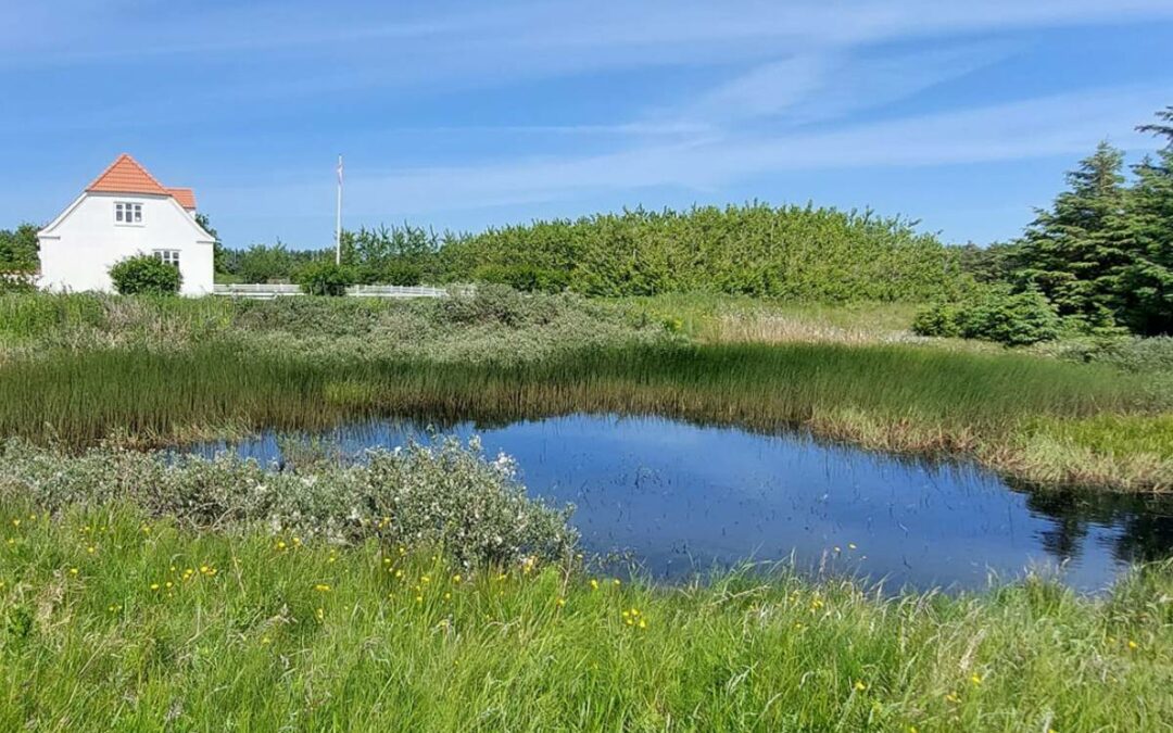 Løkken Klit Camping